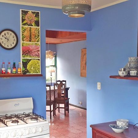 Montana Linda Guest House Orosi Ngoại thất bức ảnh