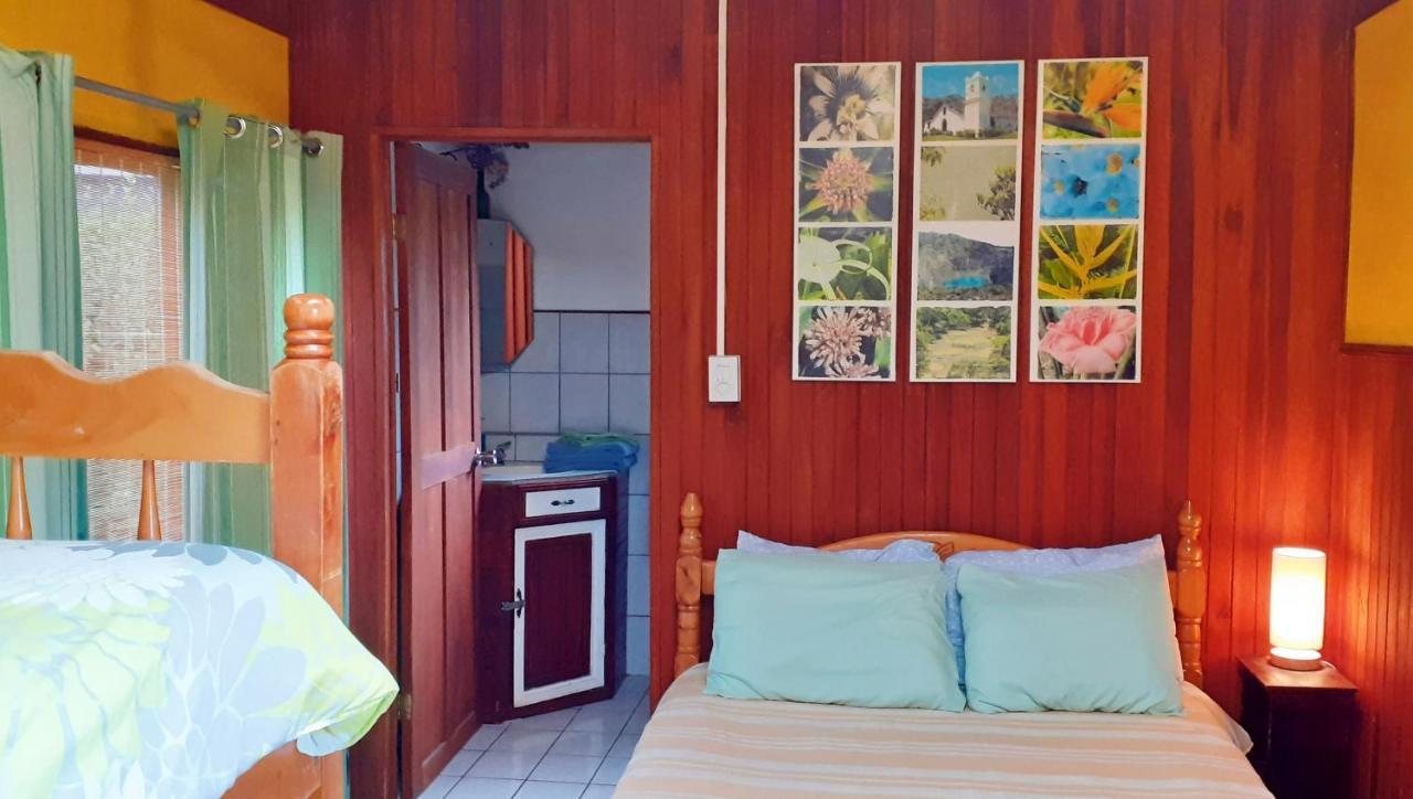 Montana Linda Guest House Orosi Ngoại thất bức ảnh