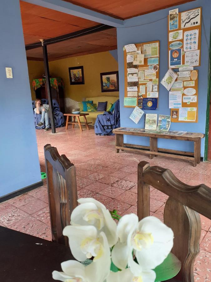 Montana Linda Guest House Orosi Ngoại thất bức ảnh