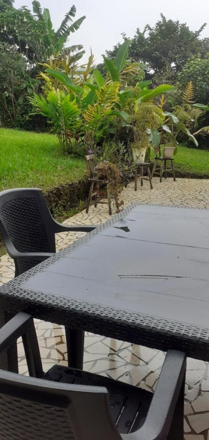 Montana Linda Guest House Orosi Ngoại thất bức ảnh
