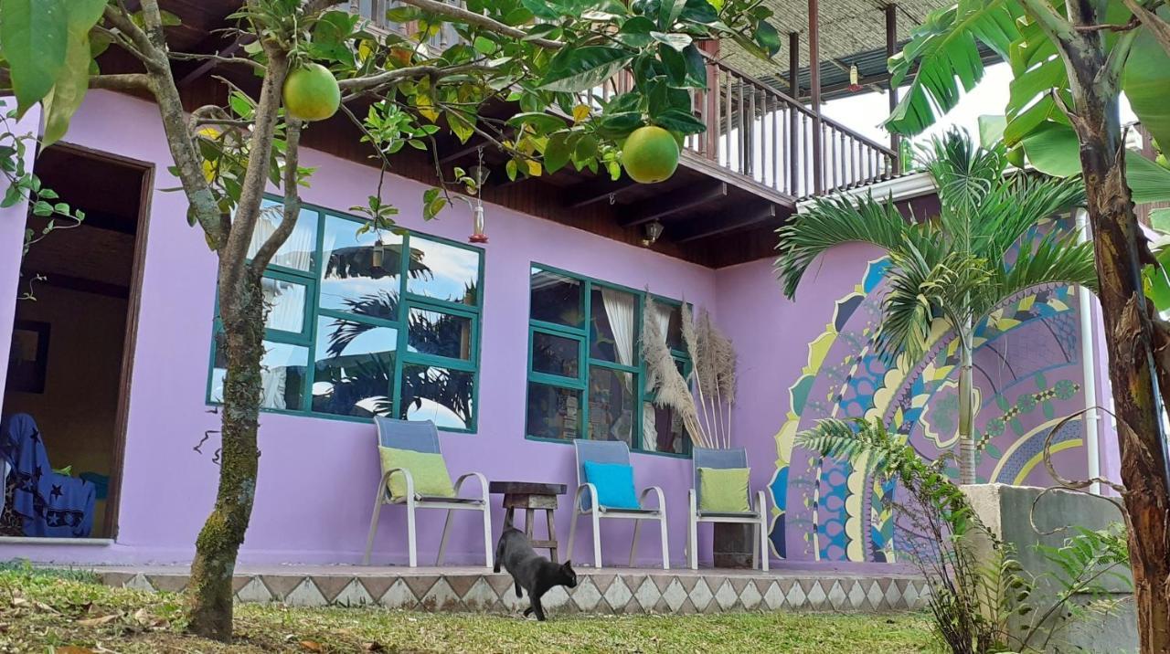 Montana Linda Guest House Orosi Ngoại thất bức ảnh