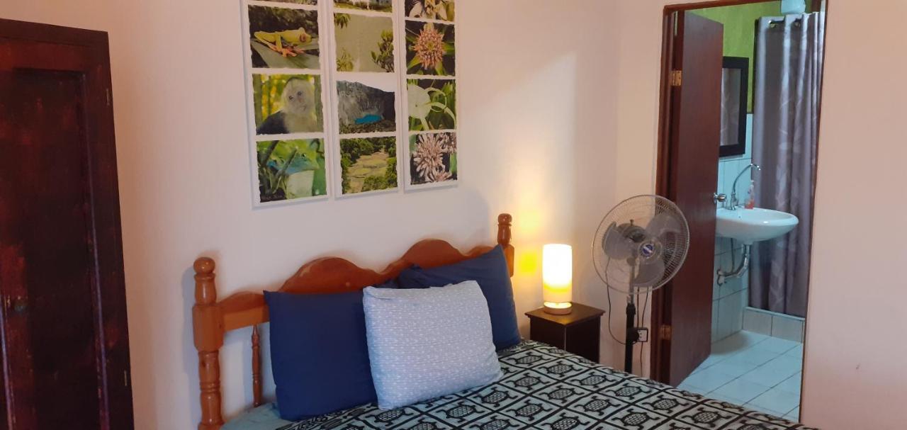 Montana Linda Guest House Orosi Ngoại thất bức ảnh